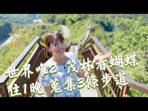 【高雄茂林】超美！3條步道探索生態秘境！世界唯2、冬季限定紫蝶幽谷！羅木斯步道戲水、石板屋住一晚，魯凱青年堅持的部落麵包；稜線上小長城步道，一覽龍頭山環流丘地形景觀！｜1000步的繽紛台灣 Ep427