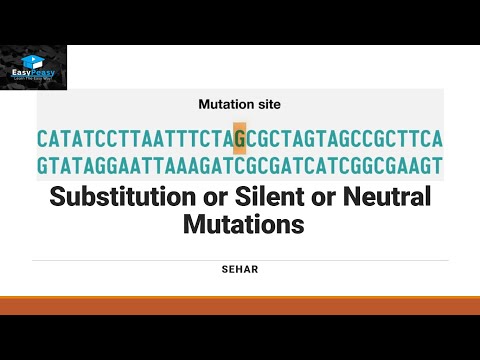 Substitution or Silent or Neutral Mutations