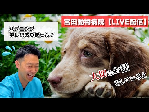 宮田動物病院 ライブ配信【MAHチャンネル】