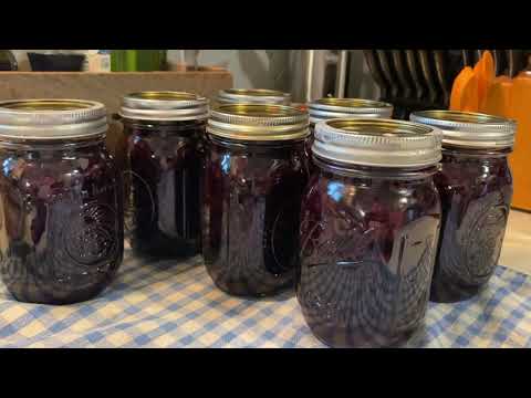 Blueberry & Lemon Syrup | Syrup with the Berries | Water Bath Canning Recipe