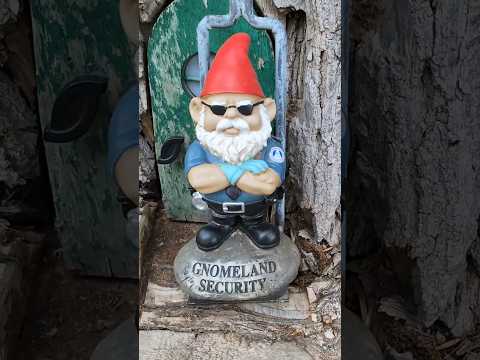 A Geocache Guarded by Gnomes (how do you unlock it??) #shorts