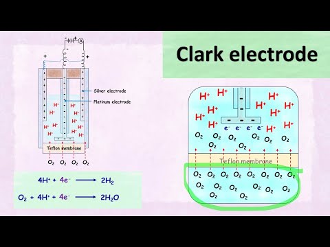 Clark electrode