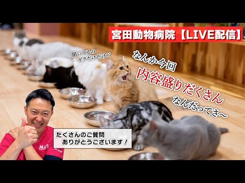 宮田動物病院 ライブ配信【MAHチャンネル】