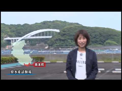 マンスリー県政令和６年５月