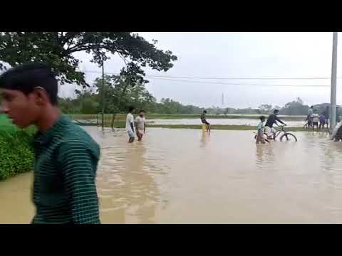 সুন্দরপুর থেকে বন্যার সর্বশেষ পরিস্থিতি জানাচ্ছেন সালাউদ্দিন জিকু