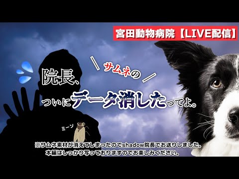 宮田動物病院 ライブ配信【MAHチャンネル】