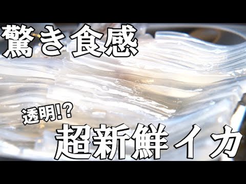 【函館グルメ】函館朝市でイカ釣り体験！他では味わえない新鮮さに驚き！｜函館観光｜Vlog