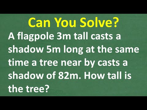 Can You Solve This? Find the Height of the Tree Using Shadows!