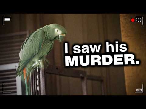 Parrot Becomes The Key Witness Of Horrifying Murder