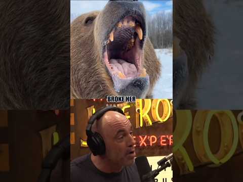 🐻 Shot the Bear... and Ate It?! 🥩 — Joe Rogan