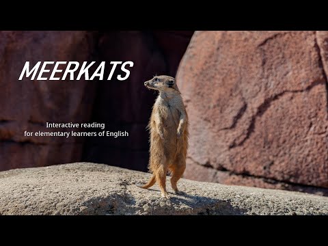 Meerkats - Interactive Reading for Elementary Learners of English