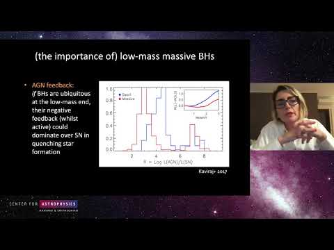 Colloquium 4.1.21 - A Census of the Black Hole Population