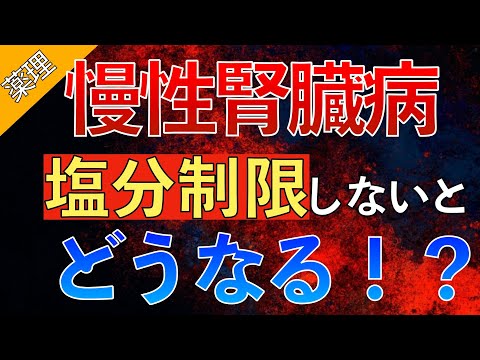 【塩分取りすぎるとヤバイ】腎臓病で塩分制限する理由とは〜慢性腎臓病の食事指導ポイント〜