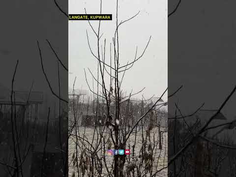 #watch || its Snowing 🌨️ in North Kashmir’s Langate area, Update your areas.