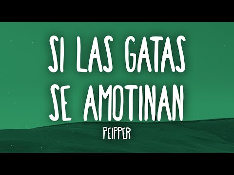 Si Las Gatas Se Amotinan - Peipper, Doble P, Locura Mix