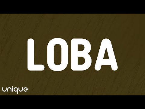 Shakira - Loba (Letra/Lyrics)