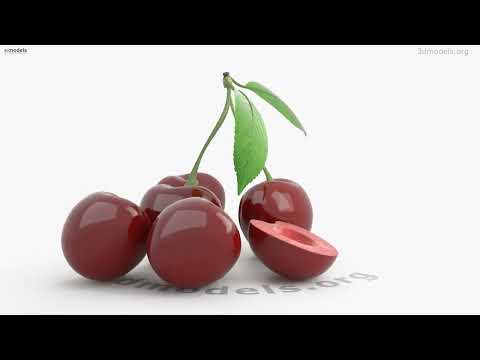 Bunch Cherries Leaf 3D model by 3DModels.org