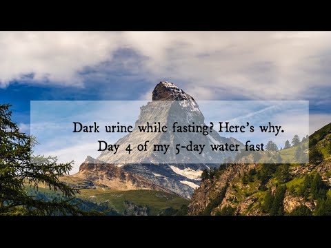 How the rest of day 4 of my 5-day water fast went