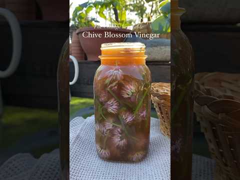 Chive blossom vinegar is a homestead special! Very seasonal but easy to make. Recipe in comments 🌿