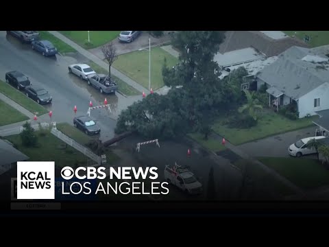 Tornado touches down in Pico Rivera, leaving trail of destruction behind