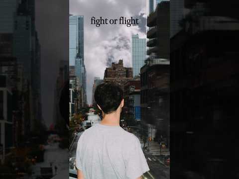 fight or flight - out now