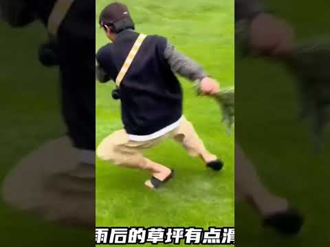 best funny falling over the world #funny #trending #funnyshorts #newmemes #shorts #short