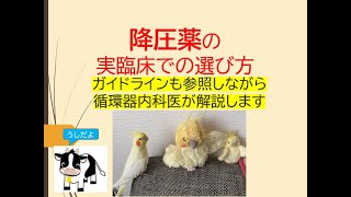 降圧薬の実際の選び方(ガイドラインも見つつ継続できる処方法を循環器内科医が解説します)