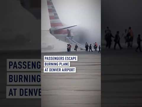 Passengers evacuated after fire on American Airlines plane