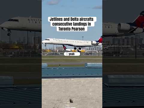 Jetlines and Delta landings in Toronto Pearson Airport #canada #aviation #yyzplanespotting