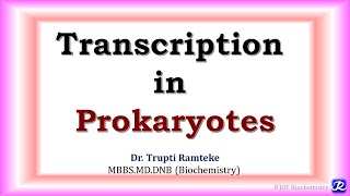 7: Transcription in Prokaryotes | Molecular Biology | Biochemistry | N'JOY Biochemistry