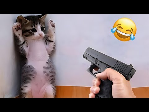 Try not to laugh with these funniest animals🤣😂| Top Funny Pet Videos 2024