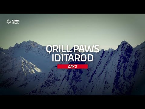 Iditarod Highlight | DAY 2 | QRILLPAWS 2021