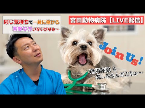 宮田動物病院 ライブ配信【MAHチャンネル】