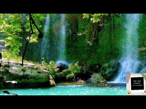 SOOTHING NATURE SOUND MUSIC| RIVER SOUNDS|FAST ASLEEP