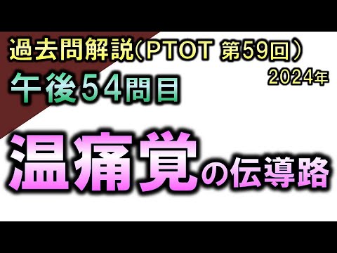 【過去問解説：第59回国家試験-午後54問目】温痛覚の伝導路【理学療法士・作業療法士】