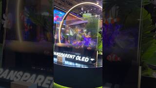 Transparent OLED TV