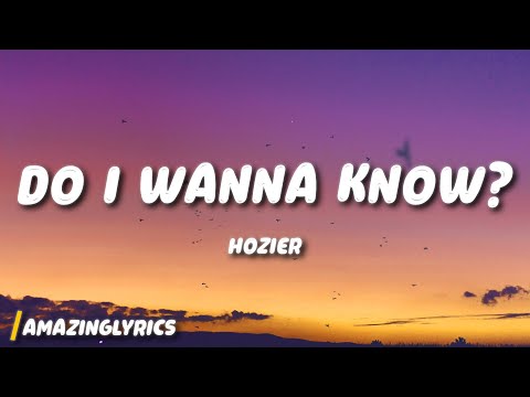 Hozier - Do I Wanna Know?