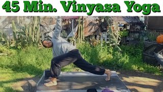 45 Min. Vinyasa Flow | Yoga Twist