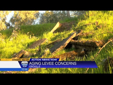 Aging levy concernss