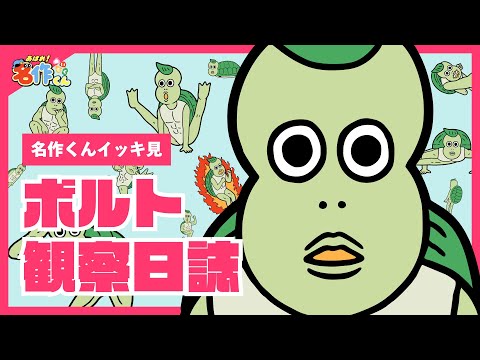 【イッキ見】ボルト観察日誌【あはれ！名作くん】