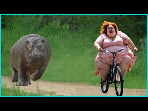 Best Funny Videos 🤣 - People Being Idiots / 🤣 Try Not To Laugh - BY Funny Dog 🏖️ #62