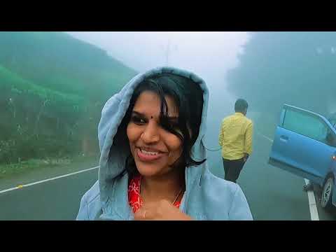 Munnar Trip - മഞ്ഞിൽ കുളിച്ചൊരു മൂന്നാർ യാത്ര ❤️