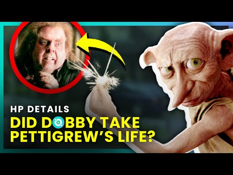 Harry Potter: Crucial Details That Didn't Make It to the Movies | OSSA Movies