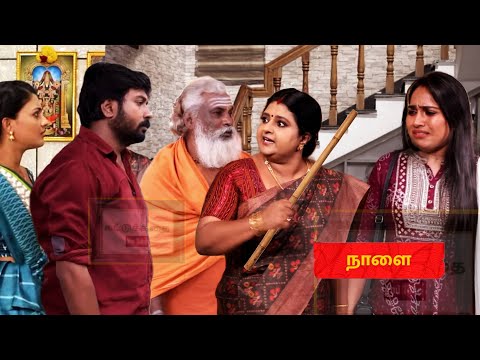 Siragadikka Aasai | 29th January 2025 - Promo | Vijay TV | Tamil