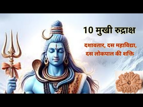 10 मुखी रुद्राक्ष: बुध, गुरु का महा उपाय। कर्ज़, मुक़दमा, वास्तुदोष से रक्षा। धारण विधि, मंत्र, लाभ।