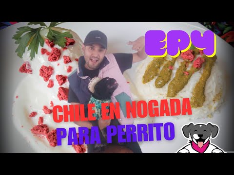 EP4 CHILE EN NOGADA para perrito.