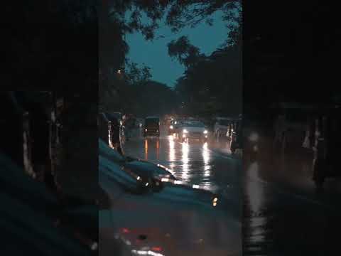 Rain 🌧 Wet Road