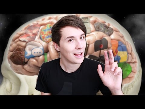 A Tour of Dan's Brain