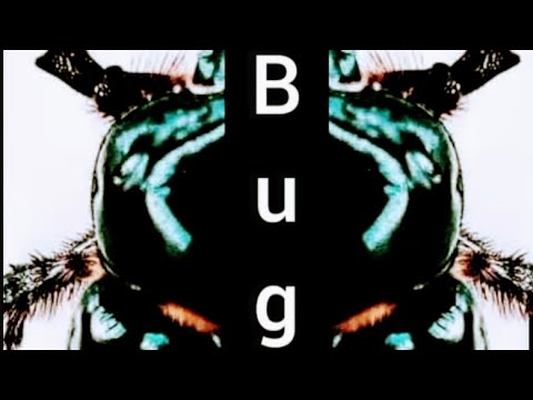 Bug Bum Call To Action