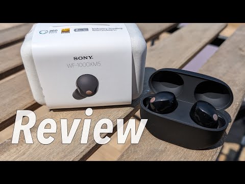 Sony WF-1000 XM5 TWS Review - Finally Sony Gets It Right